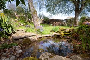 Garden Pond- click for photo gallery